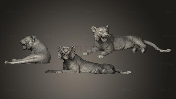3D model Tiger Photocatch (STL)